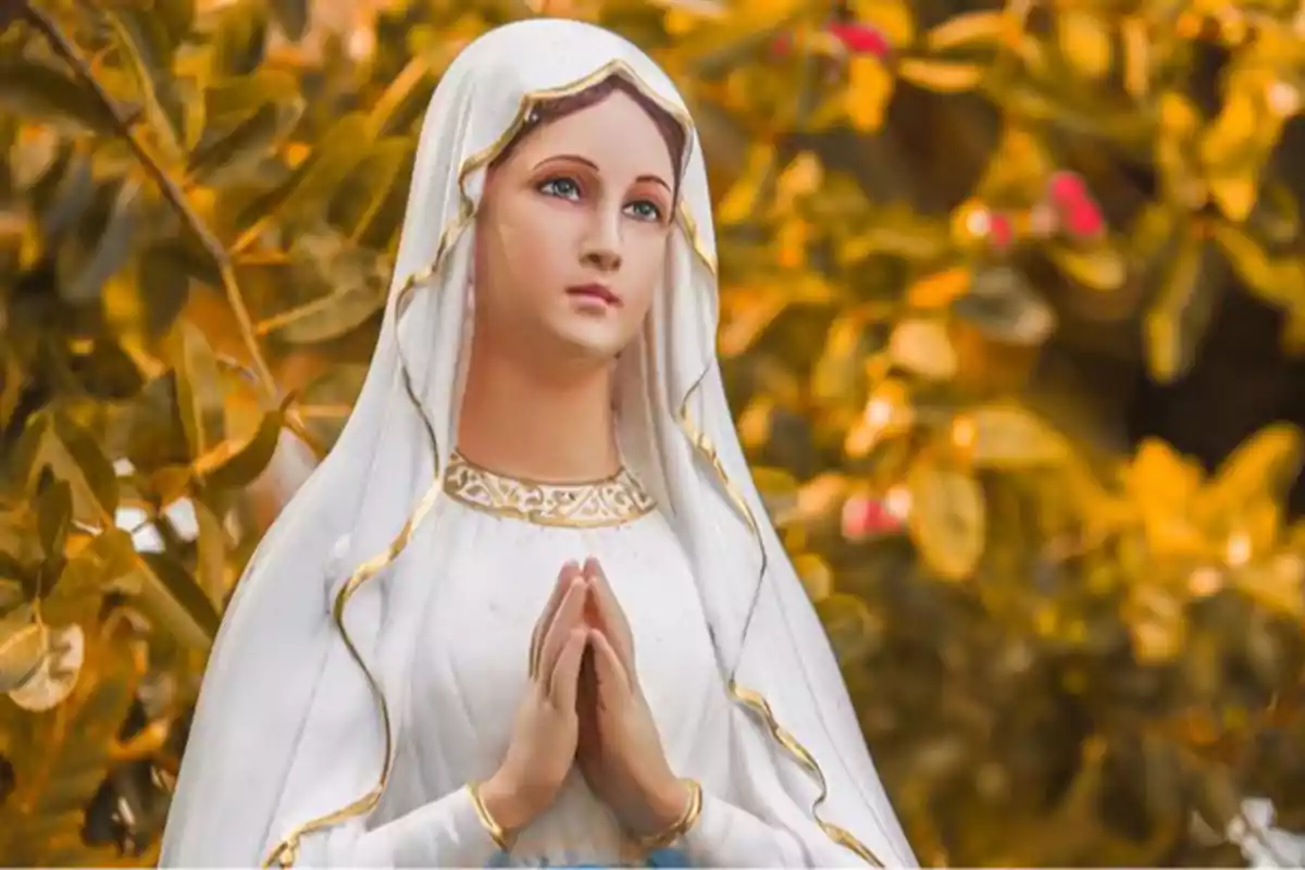 La Virgen de Lourdes su historia.