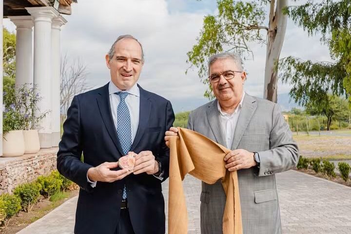 MARA presentó el Informe de Impacto Ambiental para avanzar con la explotación minera.