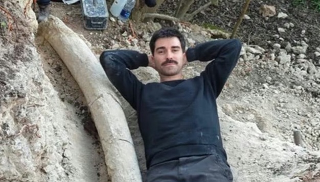Récord en Argentina: encontraron el mayor colmillo de mastodonte.