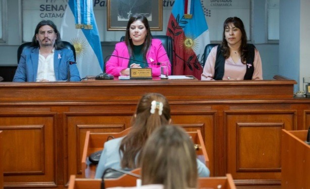El Senado de Catamarca aprobó iniciativas sobre prevención climática, seguridad vial, educación y cultural.
