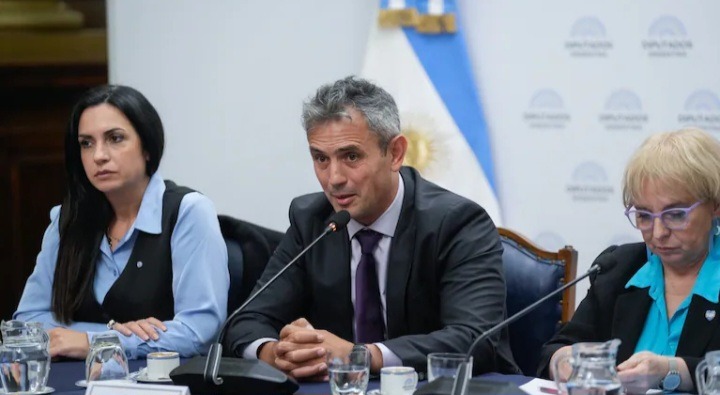 LLA busca limitar nuevamente la venta de tierras a extranjeros.